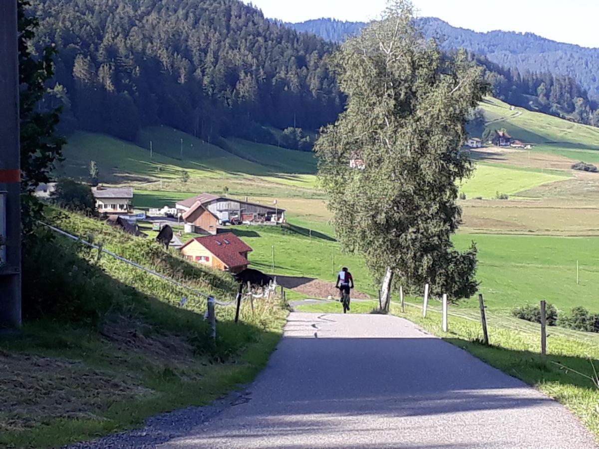 Gaestezimmer Im Dorfzentrum Rothenthurm Bagian luar foto